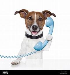 Free 15 Minute Discovery Call